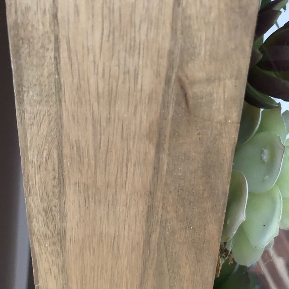 Pottery Barn Faux Succulent Wall Art Large - Picture 10 of 10